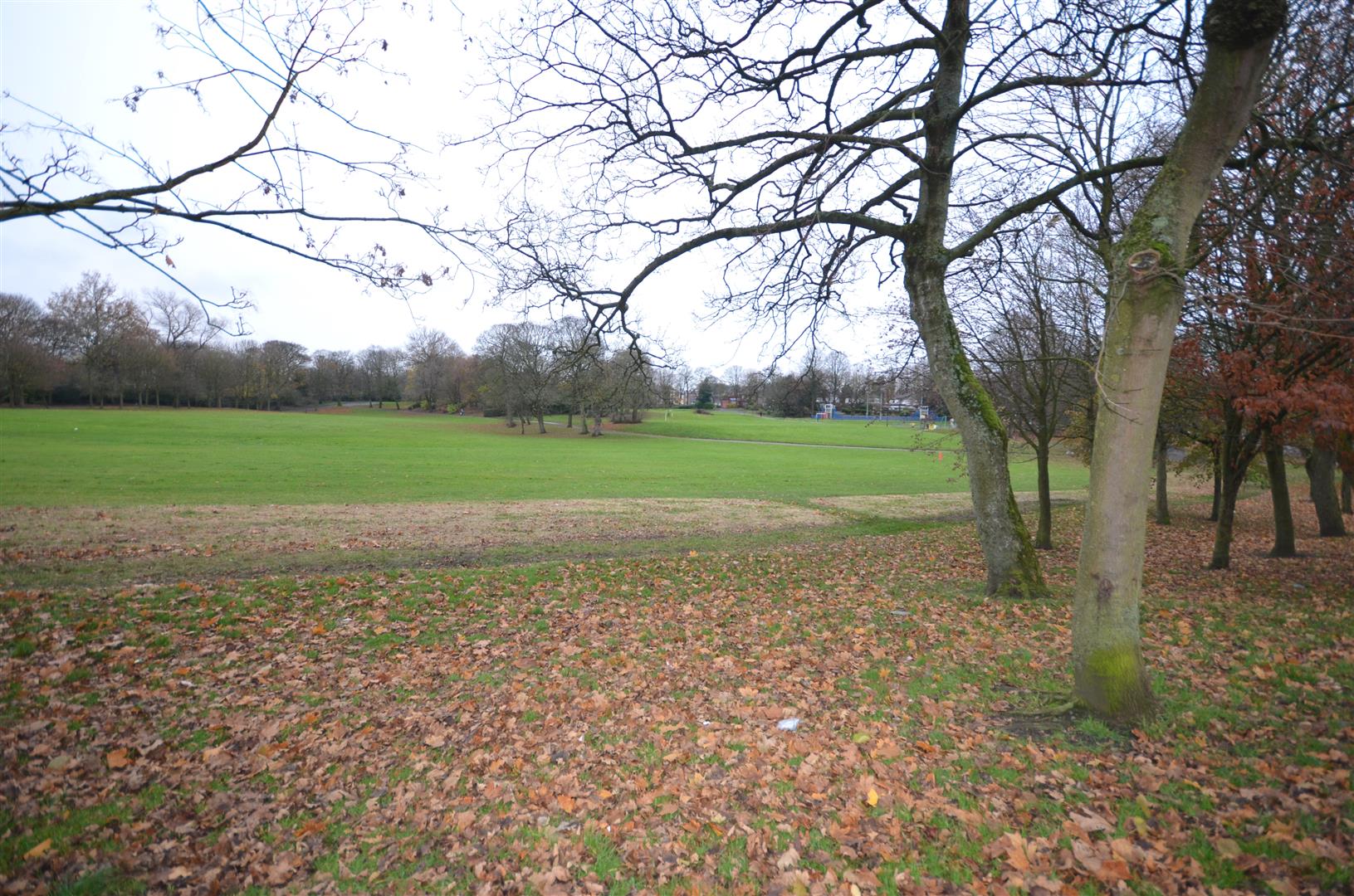Elm Road, St. Helens Stapleton Derby